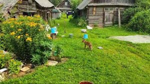Псковская глубинка 1