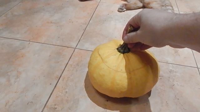 Профилактика печени. Тыквенный мёд // ЛАЙФХАК смотреть онлайн