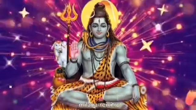 Джая Шива Шамбо 100 дней. смотреть онлайн