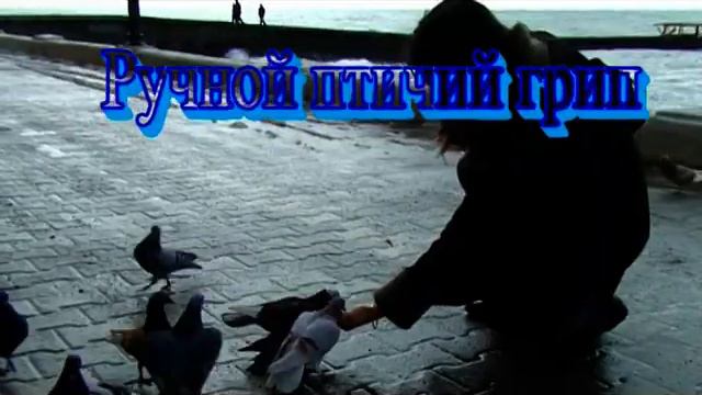город Сочи зима прогулки по городу,Sochi winter walking around the city,索契市冬季城市漫步