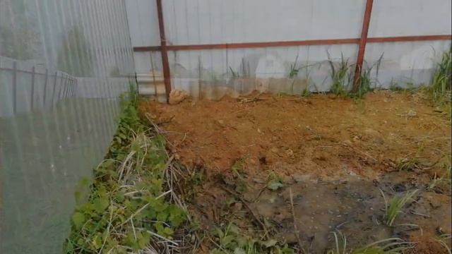 Заброшенный участок - Хитросделаный сосед смотреть онлайн