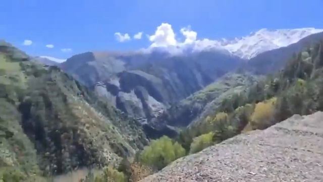 Махачкала Сильди смотреть онлайн