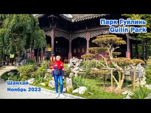 Парк Гуйлинь. Guilin Park. Шанхай. Ноябрь 2023