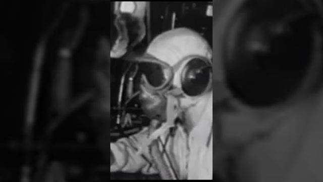 False Aŭ アメリカの贈り物

Фальш или Американский подарок