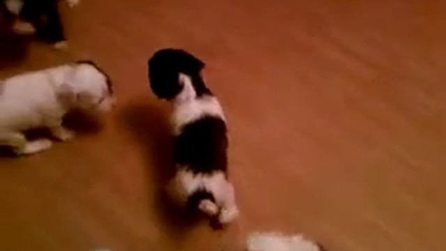 Наша крейсерская скорость... смотреть онлайн