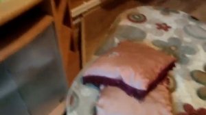 Где расположить аквариум