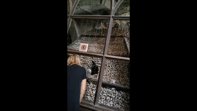 Чехия. Путешествие на 30 летие свадьбы. 2 Серия смотреть онлайн