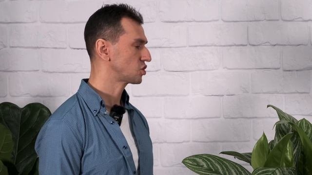 Лучшие КОМНАТНЫЕ РАСТЕНИЯ для ДОМА и ОФИСА на 2023 год!