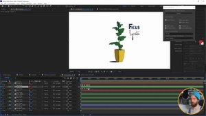 JSON & AFTER EFFECTS