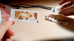 Мои вкладыши из жвачек + жвачки Orbit!💟