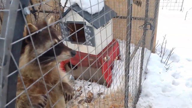 Юха, Соха и т.д. смотреть онлайн