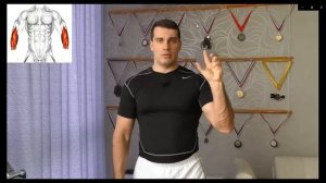 Анатомия, биомеханика Ч 1