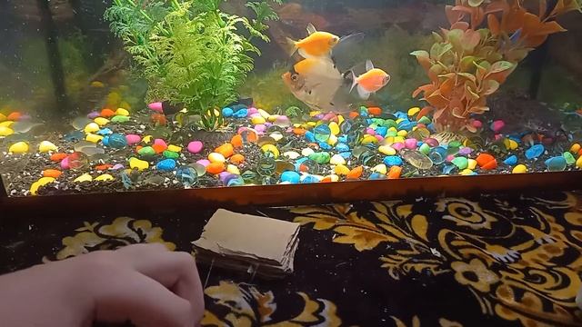 как сделать генератор из картона смотреть онлайн