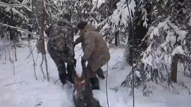 первый кабан brpclub.ru смотреть онлайн