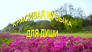 Красивая музыка для Души