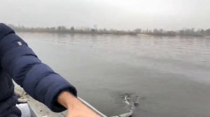 На вёслах на лодке Язь