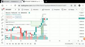 Стратегия Черепах в трейдинге, на которой заработали миллионы.