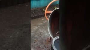 Тротуарная плитка без раковин.