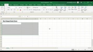 Lesson 22 - Remove Cell Formatting || Excel Basic to Advanced