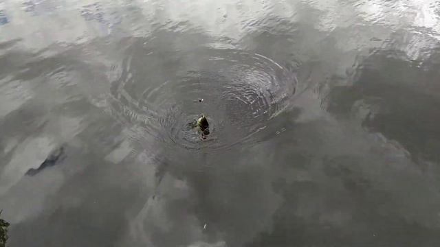 Весенняя рыбалка 2020 ловля карася смотреть онлайн