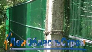 Забор из сварной сетки - строительство под ключ
