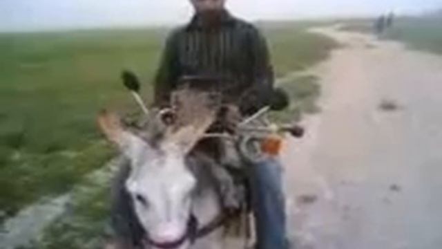 Машина зверь!видео смотреть ОСЁЛ-ГРУЗОВИК смотреть онлайн