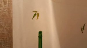 Как легко оттереть наклейки от холодильника..