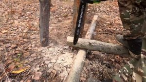 Землянка в лесу или дом? Баня - строим сами. Что с землянкой? БЕРЕЗОВЫЙ КАП, лиса патрикеевна!