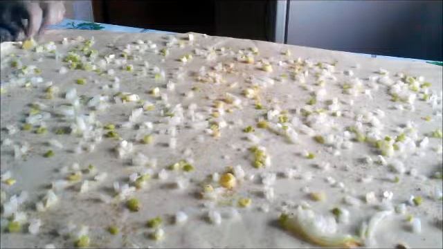 Катлама  Китайская слоёная лепёшка с луком ** Katlama Chinese puff pastry with onion**
