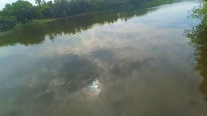 РЫБАЛКА В ШИЛОВО, еду за карасём и сазаном на реку Дон