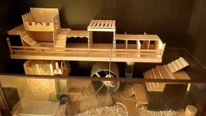 Рум Тур по клетке хомяка. Где живут хомяки? Обзор нашего террариума