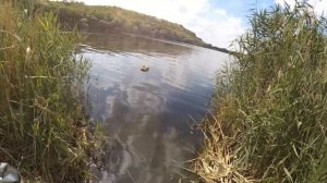 Как Science Vetal делал модели на радиоуправлении - самолет, марсоход, ровер, робот