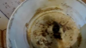 Чистка тэна стиральной машины лимонной кислотой, к чему это приводит.