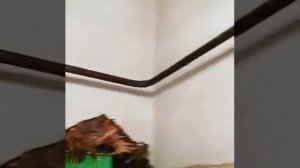 Москва. 14.02.2019. Перенос газовой трубы в квартире без отключения подачи газа.