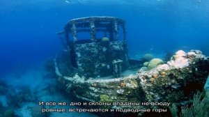 Самая глубокая точка мирового океана – Марианская впадина. История открытия Марианской впадины, по.