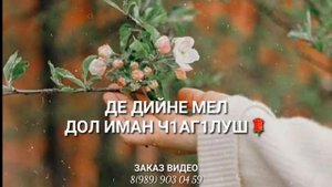АЛЛАХ1 ДАЛА ДЕКЪАЛА ЙОЙЛА ХЬО❤ озвучка
