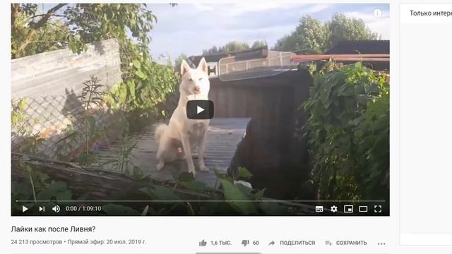 Хрестоматия попрошайничества на ютуб и как ряженый получает с канала Лайки соловьева