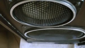 Заголосивший Бриг 001 послушаем с колонками S-90