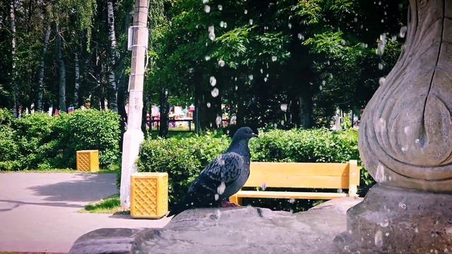 фонтан в парке питомник Серпухов смотреть онлайн