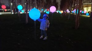 Успеть до нового года! Поездка в Краснодар! Парк Галицкого, океанариум, зеркальный лабиринт...