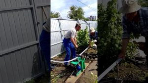 Гнем профильную трубу для теплицы.