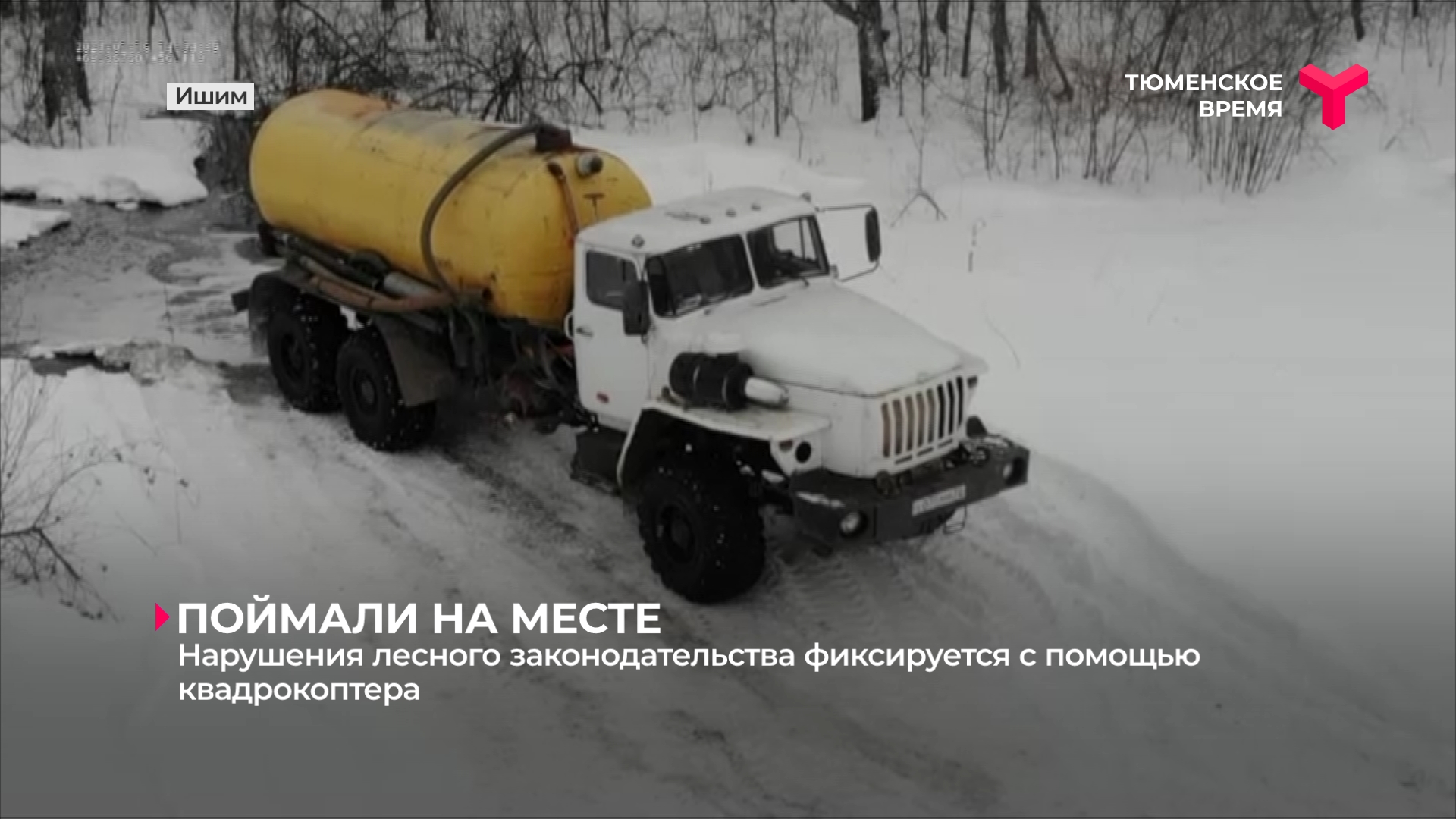 Нарушения лесного законодательства фиксируются с помощью квадрокоптера