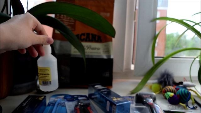 Что нужно для появления котёнка в доме? смотреть онлайн