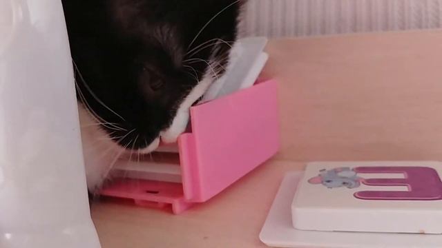 Бусинка грвзёт мой замок для пони! смотреть онлайн