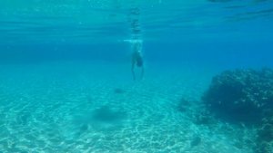 Снорклинг Египет