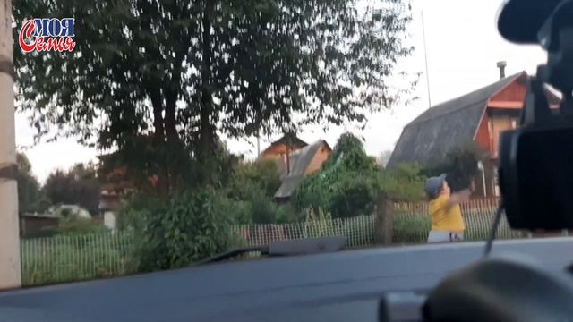 Влог из бани на даче//встретили ёжиков//Купаемся в бассейне//моя семья//семейный влог//family vlog смотреть онлайн