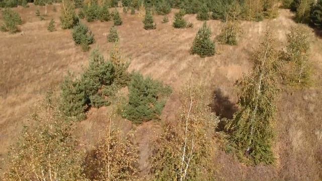 Осеннее путешествие Толстопуза смотреть онлайн