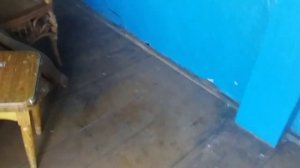 Купили дом на Алтае! Часть 1.  Обзор участка и дома .