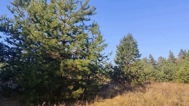 30 ноября праздник День Григория Чудотворца. Народные приметы и традиции. Запреты дня.Именинники дн
