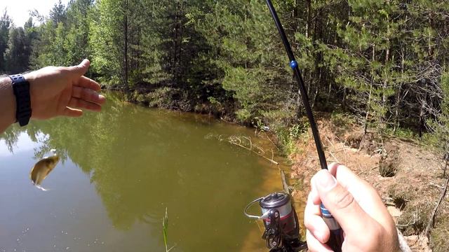Судак не вышел. Поехал и согрешил с неправильной мормышкой. смотреть онлайн